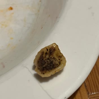 Barilla Makarna Böcekli Çıktı!