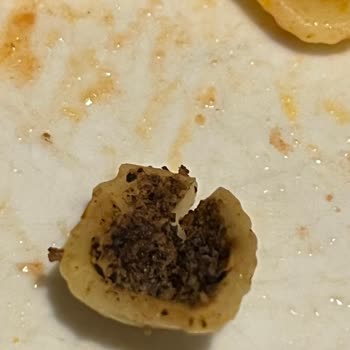 Barilla Makarna Böcekli Çıktı!