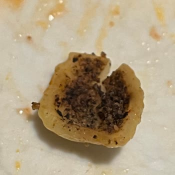 Barilla Makarna Böcekli Çıktı!