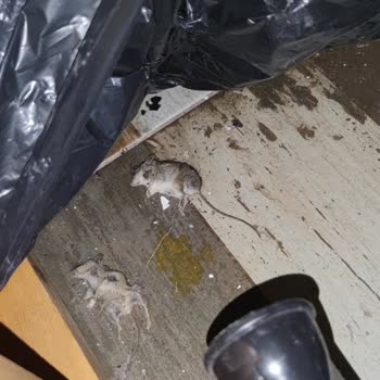 Villa Sepeti Tatil Konaklama