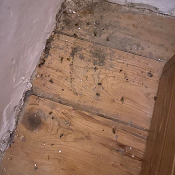 Villa Sepeti Tatil Konaklama