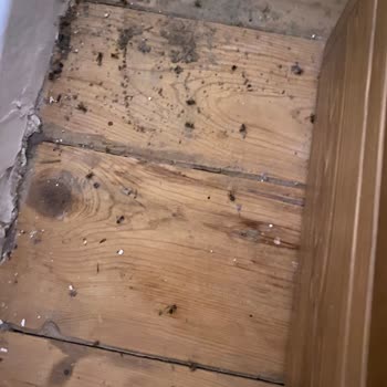 Villa Sepeti Tatil Konaklama