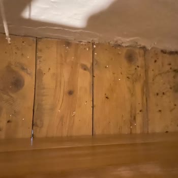 Villa Sepeti Tatil Konaklama