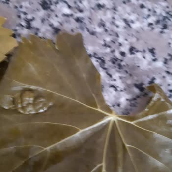 Koy_mahsulleri (Instagram) Hayal Kırıklığı: Kalitesiz Ürün Ve Kötü Hizmet