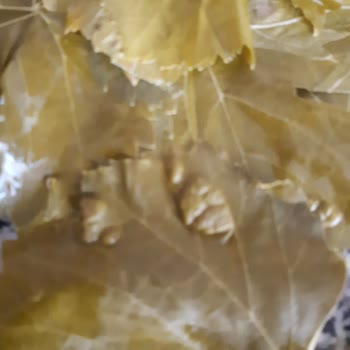 Koy_mahsulleri (Instagram) Hayal Kırıklığı: Kalitesiz Ürün Ve Kötü Hizmet