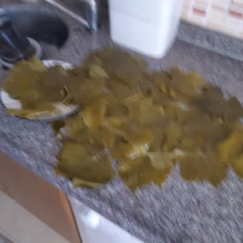 Koy_mahsulleri (Instagram) Hayal Kırıklığı: Kalitesiz Ürün Ve Kötü Hizmet