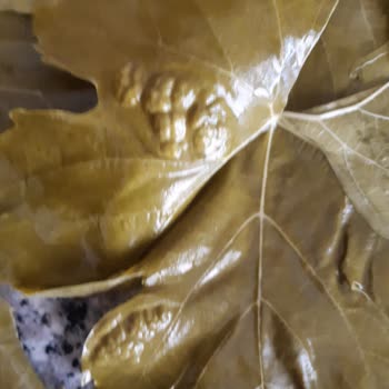 Koy_mahsulleri (Instagram) Hayal Kırıklığı: Kalitesiz Ürün Ve Kötü Hizmet