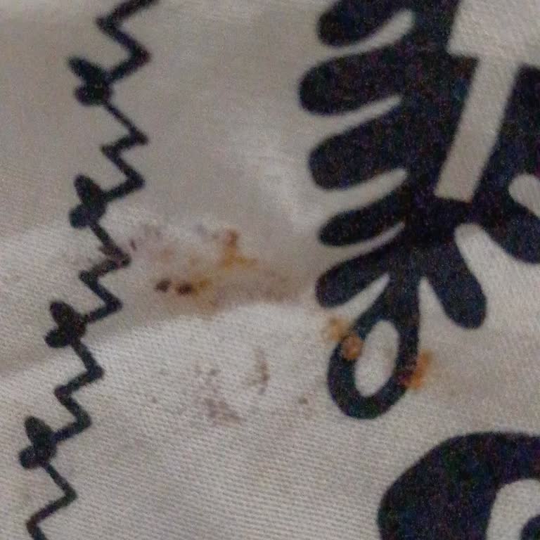 LC Waikiki 2 Yırtık 1 Lekeli 1 Eksik Ürün