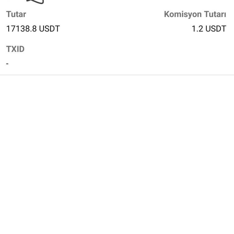 Bitci'de USDT Çektim 10 Saattir Çekilmedi.