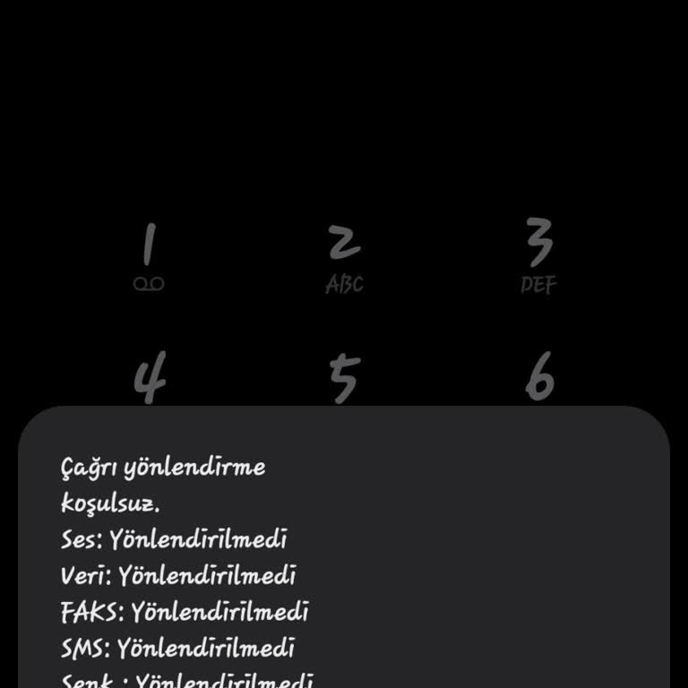 Turkcell Galaxy A24 Ses Yönlendirme Sorunu