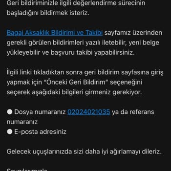 AJet (Anadolu Jet) Kayıp Bagaj Acil Dönüş