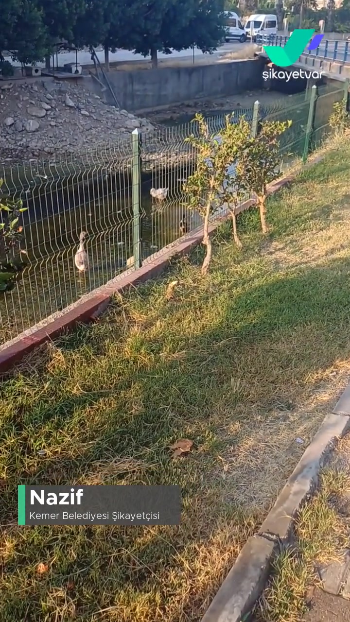Kemer Belediyesi Park Bahçe Sulama Başlıkları Onarımı videonun kapak resmi