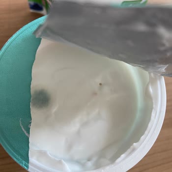 File Marketten Aldığım Milky Probiyotik Yoğurt Küflü Çıktı!