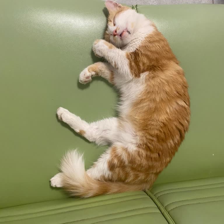 PttAVM PTT Adana Kargo Dağıtım Müdürlüğü İşini Yapmıyor!