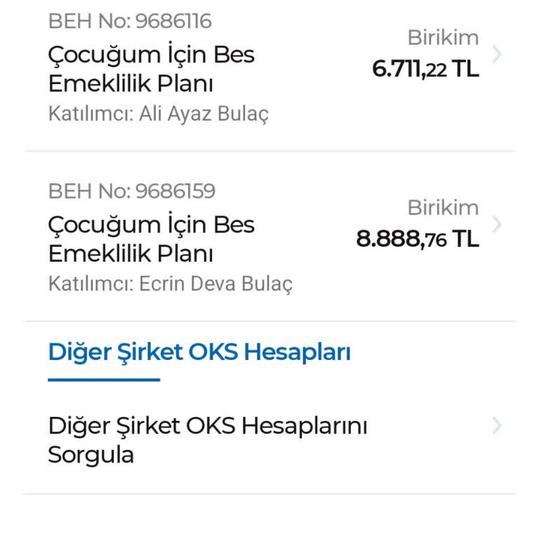 Anadolu Hayat Emeklilik Çocuğum İçin BES Katılım İptal Etme