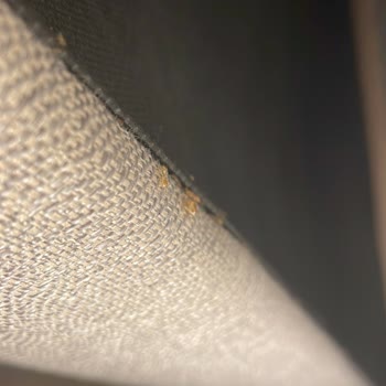 Yataş Bedding Yenibosna Şubesi Tahtakurusu Dolu Bir Yatak Gönderdi.