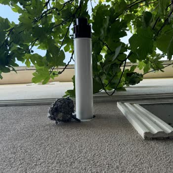 İGDAŞ Doğalgaz Borusunun Usulsüz Yerleştirilmesi Hakkında Şikayet