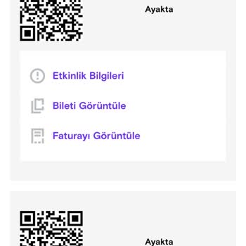Fantafest Bilet Kontrolü