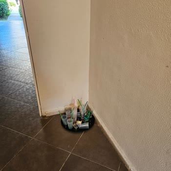 Karya Family Resort Özdere Fare Problemi