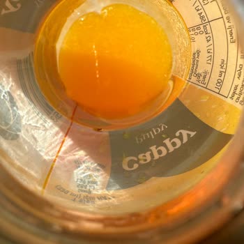 Cappy Portakal Suyu Plastik Şişe Kurt:(