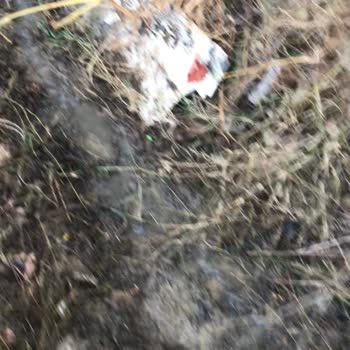 Asat Boşa Akan Su