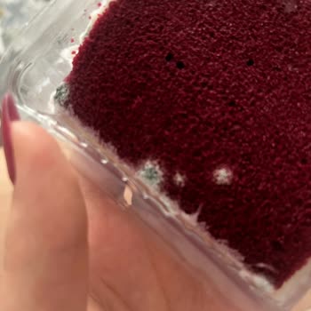 BİM Osmanoğlu Kadife Tatlısı Üzerindeki Küf