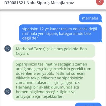 Taze Çiçek İle Hayal Kırıklığı: Teslimat Sorunları Ve İletişim Eksikliği