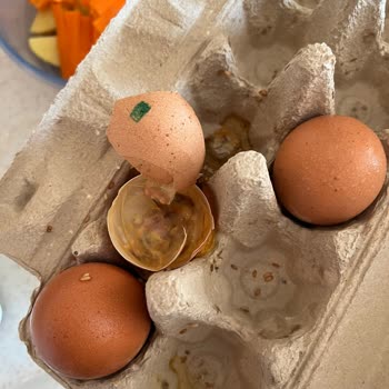 Migros & Tire Süt Kooperatifi / Çürük Yumurtalar