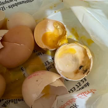 Tarım Kredi Kooperatif Market Yumurtalar Bozuk Yeter Artık Bu Kaç Oldu