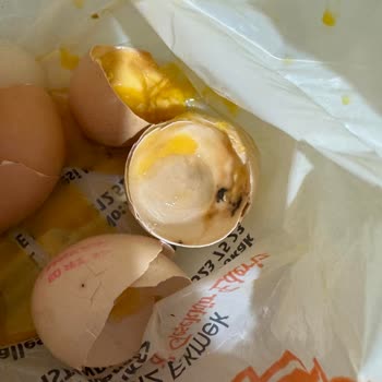 Tarım Kredi Kooperatif Market Yumurtalar Bozuk Yeter Artık Bu Kaç Oldu