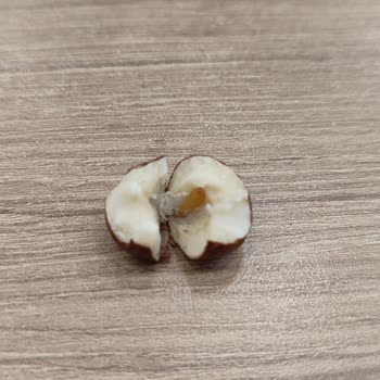 Tatbak'tan Aldığım Fındığın İçinde Kurtçuk Çıktı