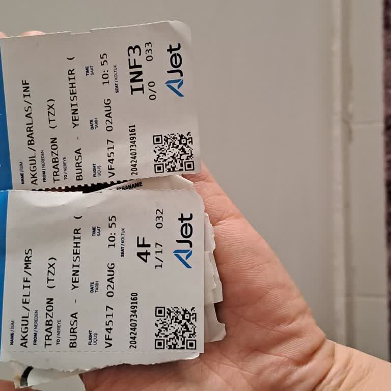 Ajet Firmasının Güvenlik İhmali Ve Yolcu Güvenliği Sorunu