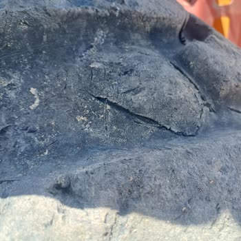 Starmaxx Otomotiv Lastik Satış Sonrası Destek Sorunu