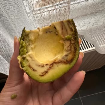 File Markette Satılan Bozuk Avokadolar