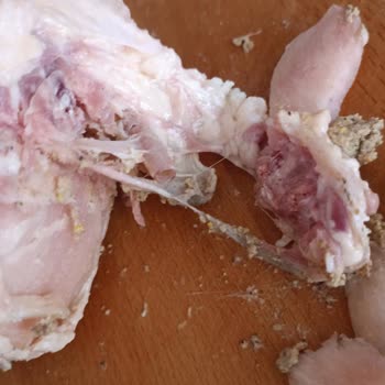 Şenpiliç Bozuk Tavuk Ürünü Ve Sağlık Tehlikesi