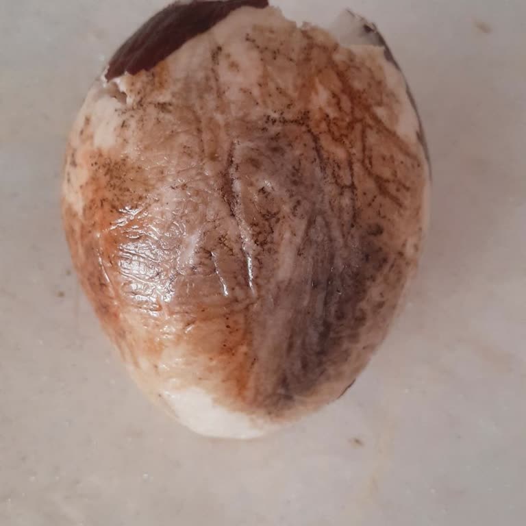 File Market Ürünün Çürük Çıkması