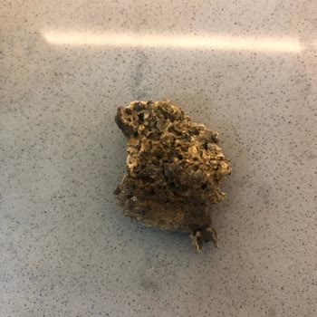 File Market Harras Marka Şehriyenin İçinden Çıkan