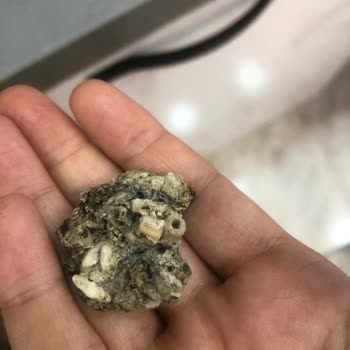 File Market Harras Marka Şehriyenin İçinden Çıkan