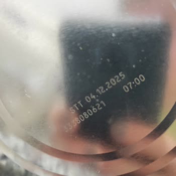 City Gross Mama Koku Ve Kusma Şikayeti