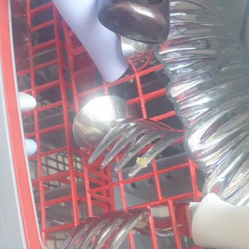 Vestel Bm4202 Bulaşık Makinesi Asla Yikama Yapmıyor. Kirli Ve Islak