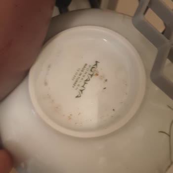 Vestel Bm4202 Bulaşık Makinesi Asla Yikama Yapmıyor. Kirli Ve Islak