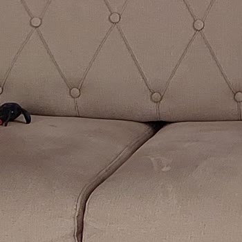 Bellona Defolu Ürün Gönderip Ürün Arkasında Durmuyor