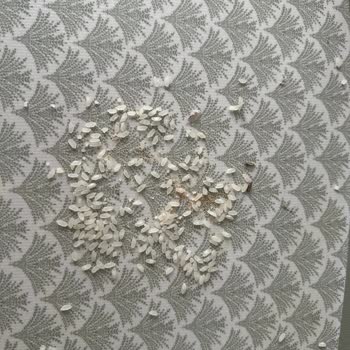 Reis Gıda Marka Böcekli Kelebekli