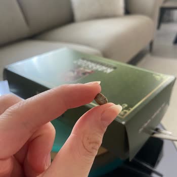 Karagöz Baklavaları Karagöz Baklava Soğuk Baklavadan Taş Çıktı