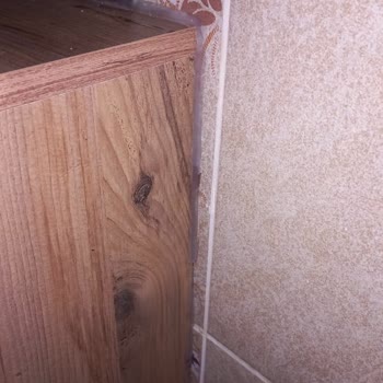 Montajix Montaj Hizmeti Ve İletişim Sorunları