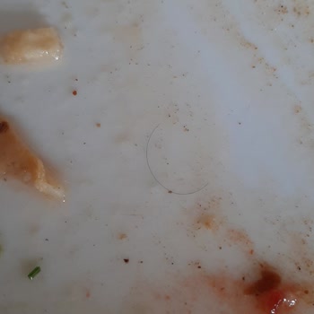 Arya Turistik Tesisleri Hijyen Sorunları Ve Kalitesiz Hizmet