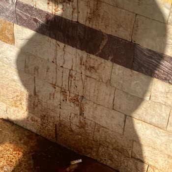 Tatil Sepetini Kullanmaktan Pişmanım