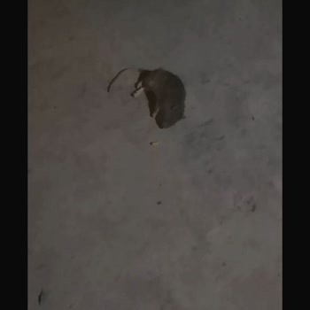 Sarıyer Belediyesi Yaşanan Altyapı Sorunları Ve Çözüm Beklentisi