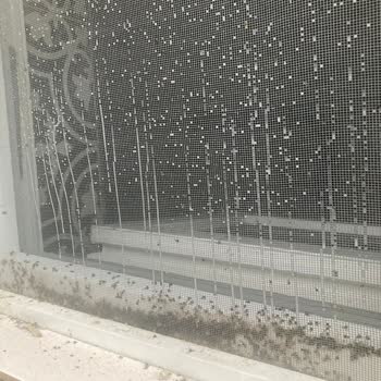 Sarıyer Belediyesi Yaşanan Altyapı Sorunları Ve Çözüm Beklentisi