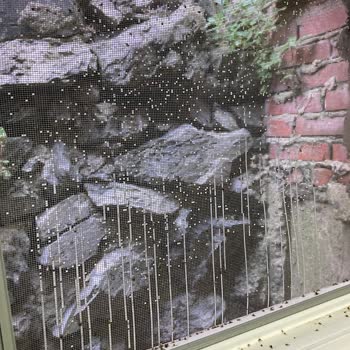 Sarıyer Belediyesi Yaşanan Altyapı Sorunları Ve Çözüm Beklentisi